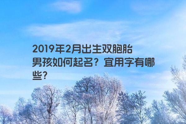 2019年2月出生双胞胎男孩如何起名？宜用字有哪些？