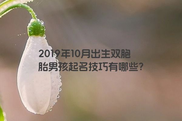 2019年10月出生双胞胎男孩起名技巧有哪些？