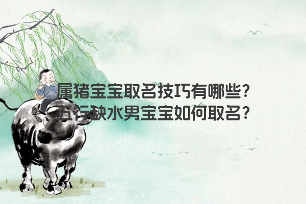 属猪宝宝取名技巧有哪些？五行缺水男宝宝如何取名？