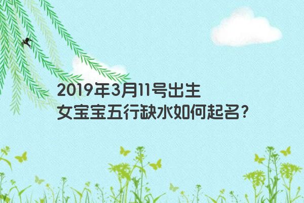 2019年3月11号出生女宝宝五行缺水如何起名？