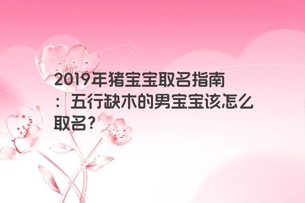 2019年猪宝宝取名指南：五行缺木的男宝宝该怎么取名？
