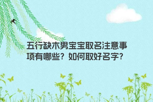 五行缺木男宝宝取名注意事项有哪些?如何取好名字? 五行缺木男宝宝取名注意事项有哪些?如何取好名字?