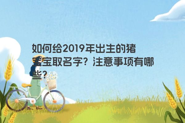 如何给2019年出生的猪宝宝取名字？注意事项有哪些？