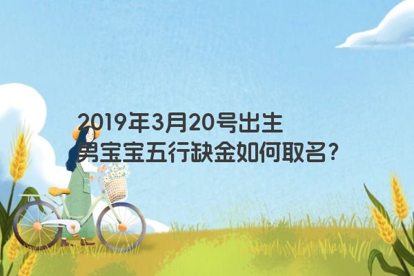 2019年3月20号出生男宝宝五行缺金如何取名？