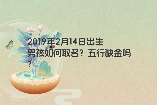 2019年2月14日出生男孩如何取名?五行缺金吗? 2019年2月14日出生男孩如何取名?五行缺金吗?