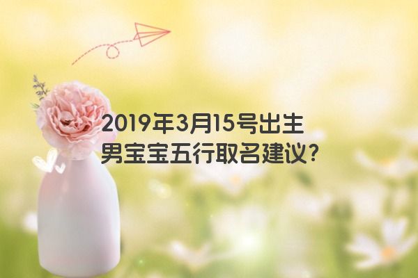 2019年3月15号出生男宝宝五行取名建议？