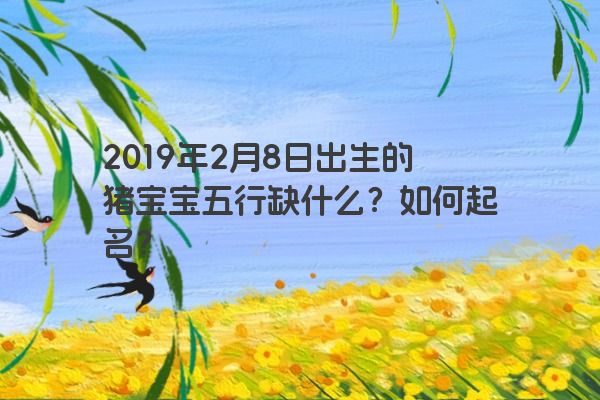 2019年2月8日出生的猪宝宝五行缺什么?如何起名? 2019年2月8日出生的猪宝宝五行缺什么?如何起名?