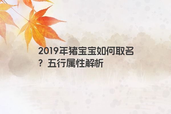 2019年猪宝宝如何取名?五行属性解析 2019年猪宝宝如何取名?五行属性解析