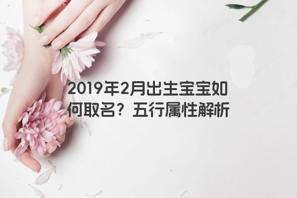 2019年2月出生宝宝如何取名?五行属性解析 2019年2月出生宝宝如何取名?五行属性解析