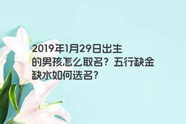 2019年1月29日出生的男孩怎么取名？五行缺金缺水如何选名？