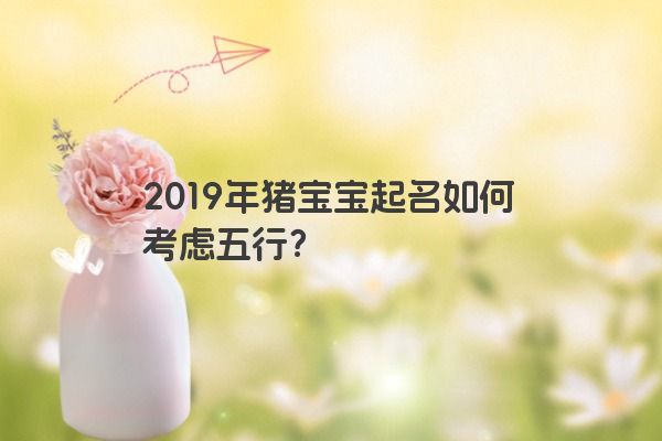 2019年猪宝宝起名如何考虑五行？