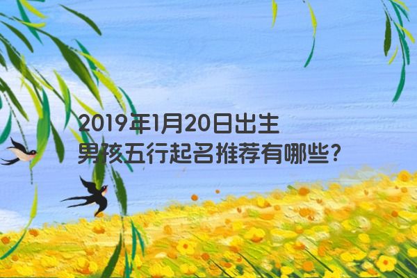 2019年1月20日出生男孩五行起名推荐有哪些? 2019年1月20日出生男孩五行起名推荐有哪些?