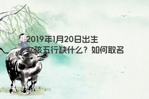 2019年1月20日出生女孩五行缺什么?如何取名? 2019年1月20日出生女孩五行缺什么?如何取名?