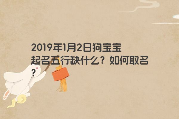 2019年1月2日狗宝宝起名五行缺什么？如何取名？