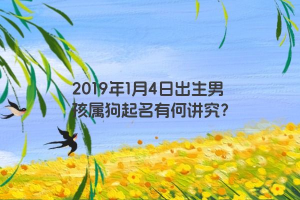 2019年1月4日出生男孩属狗起名有何讲究？