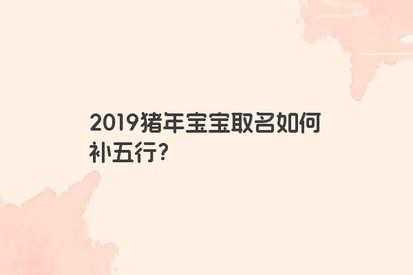 2019猪年宝宝取名如何补五行？
