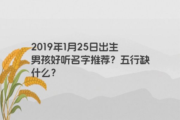 2019年1月25日出生男孩好听名字推荐？五行缺什么？