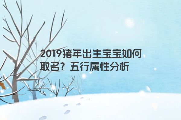2019猪年出生宝宝如何取名？五行属性分析
