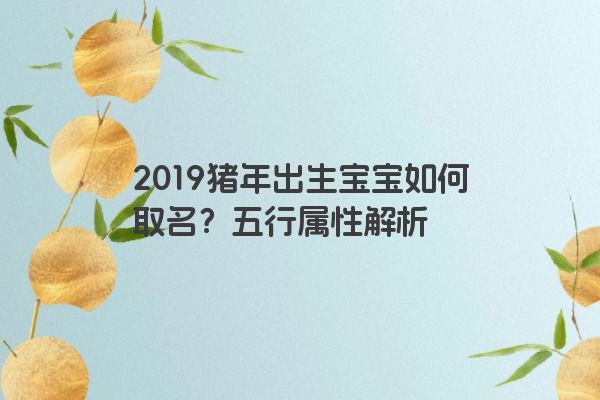2019猪年出生宝宝如何取名？五行属性解析