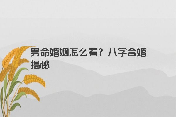 男命婚姻怎么看？八字合婚揭秘