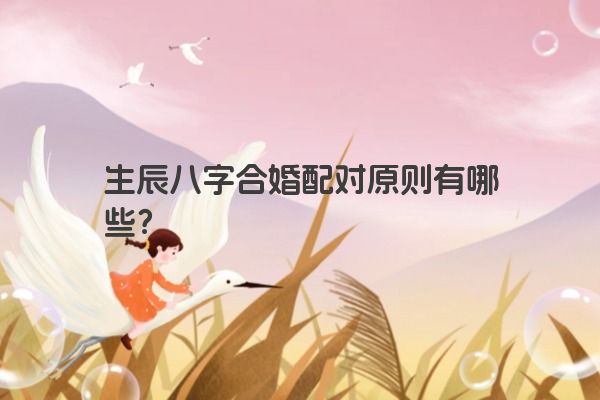 生辰八字合婚配对原则有哪些？