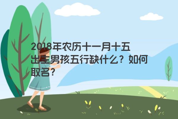 2018年农历十一月十五出生男孩五行缺什么？如何取名？