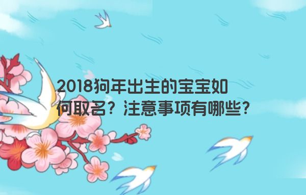 2018狗年出生的宝宝如何取名？注意事项有哪些？