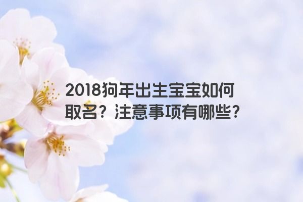 2018狗年出生宝宝如何取名？注意事项有哪些？