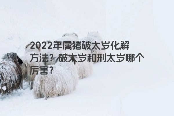 2022年属猪破太岁化解方法？破太岁和刑太岁哪个厉害？