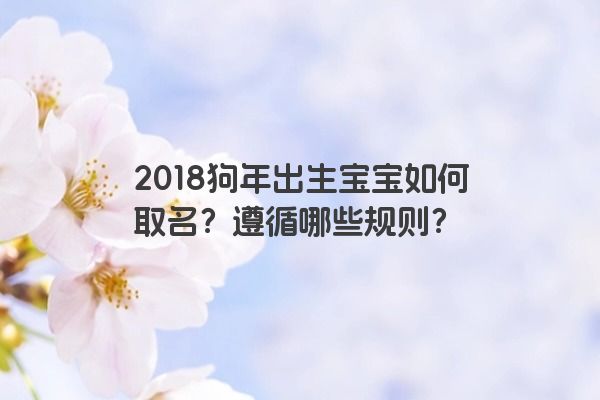 2018狗年出生宝宝如何取名？遵循哪些规则？