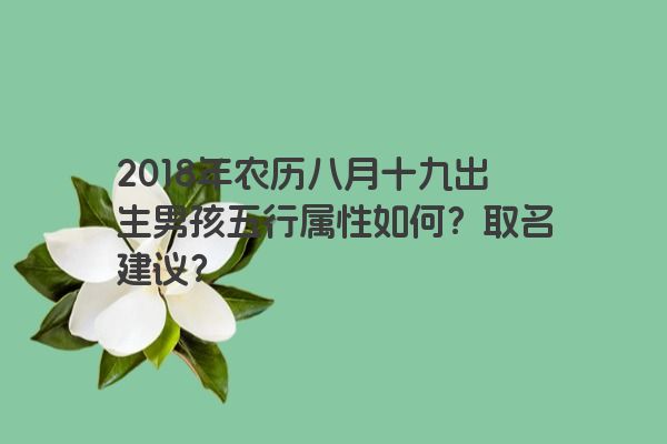 2018年农历八月十九出生男孩五行属性如何？取名建议？