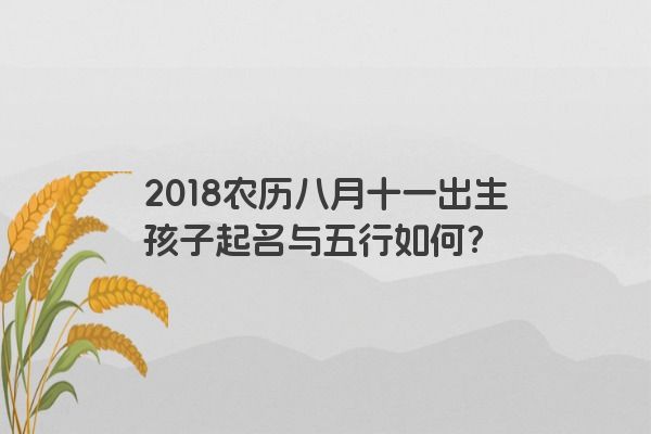 2018农历八月十一出生孩子起名与五行如何？