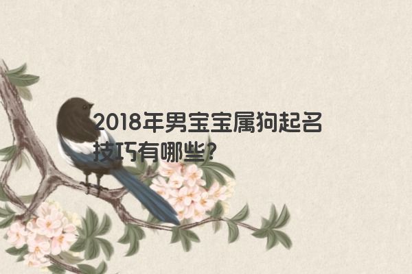2018年男宝宝属狗起名技巧有哪些？