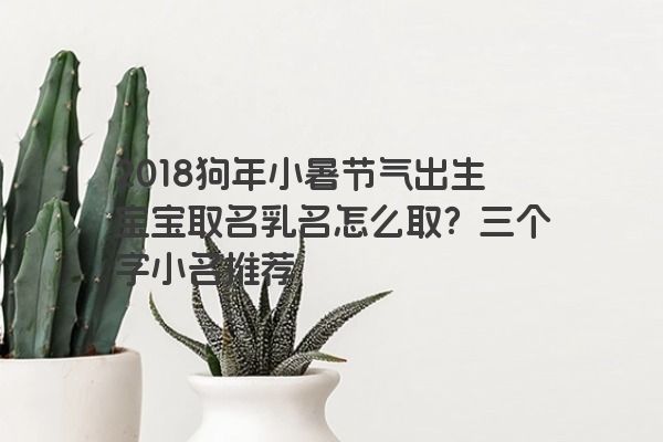 2018狗年小暑节气出生宝宝取名乳名怎么取？三个字小名推荐