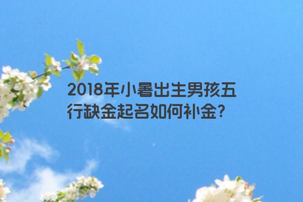 2018年小暑出生男孩五行缺金起名如何补金？