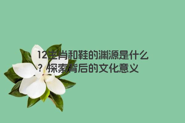 12生肖和鞋的渊源是什么？探索背后的文化意义