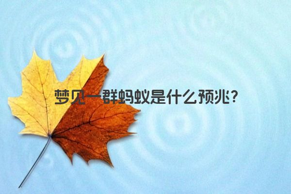 梦见一群蚂蚁是什么预兆？