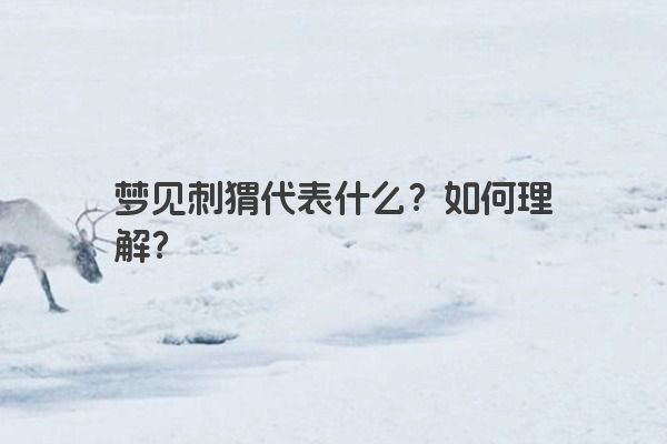 梦见刺猬代表什么？如何理解？