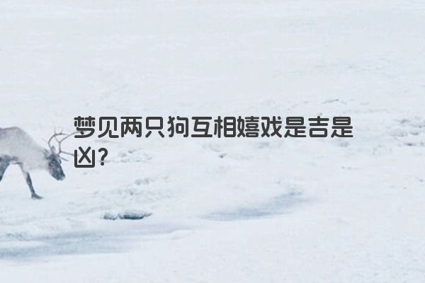 梦见两只狗互相嬉戏是吉是凶？