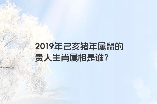 2019年己亥猪年属鼠的贵人生肖属相是谁？