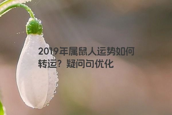 2019年属鼠人运势如何转运？疑问句优化