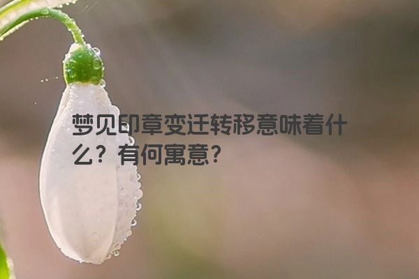 梦见印章变迁转移意味着什么？有何寓意？