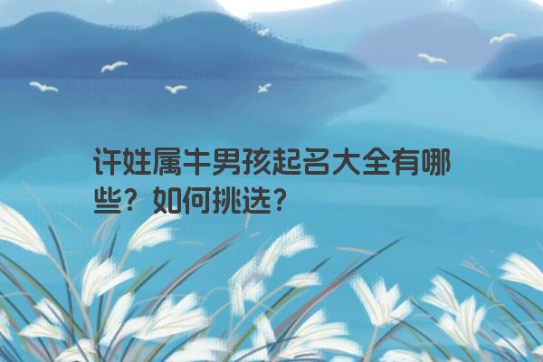 许姓属牛男孩起名大全有哪些？如何挑选？