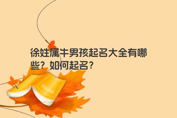 徐姓属牛男孩起名大全有哪些？如何起名？