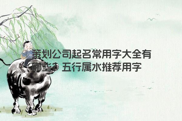 策划公司起名常用字大全有哪些？五行属水推荐用字