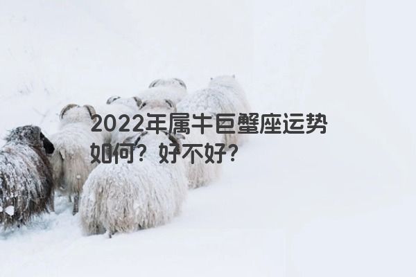 2022年属牛巨蟹座运势如何？好不好？