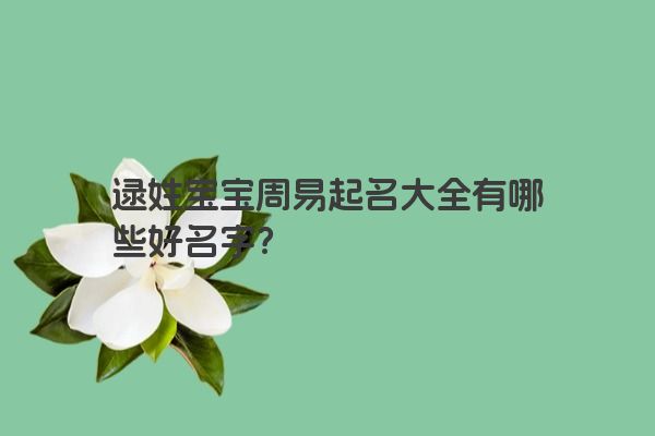 逯姓宝宝周易起名大全有哪些好名字？