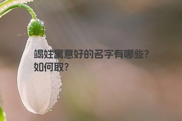 竭姓寓意好的名字有哪些？如何取？