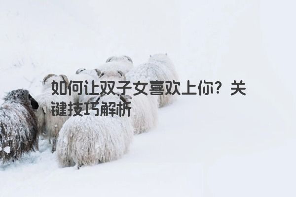如何让双子女喜欢上你？关键技巧解析