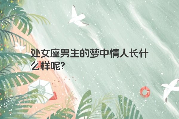 处女座男生的梦中情人长什么样呢？